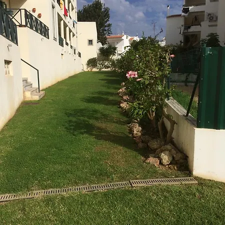 Fernanda *